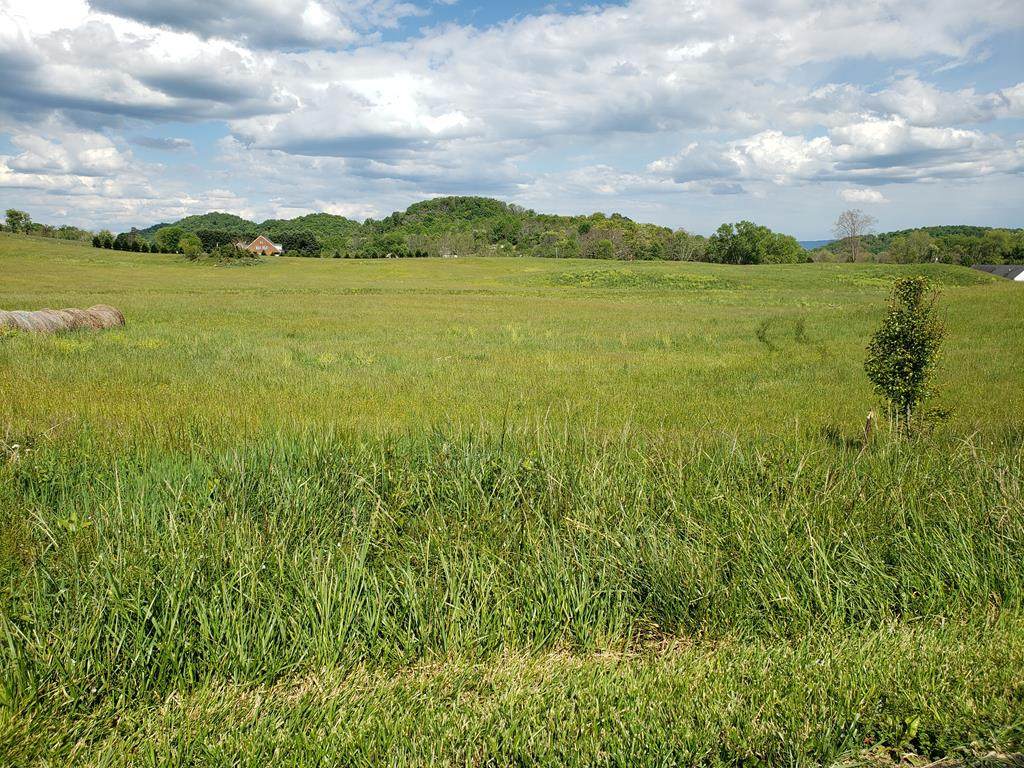 lot 14 Buffalo Pond Road - Photo 1