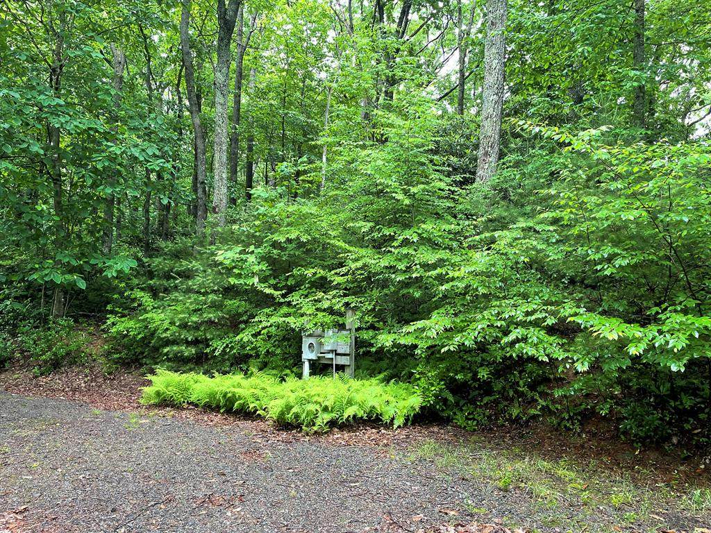 TBD Forest Park Lane - Photo 1