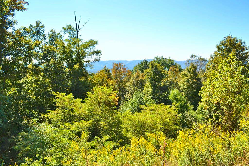 Lot 7 Holiday Lane - Photo 1