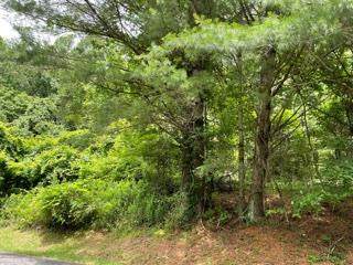 TBD Southern View Trail - Photo 1