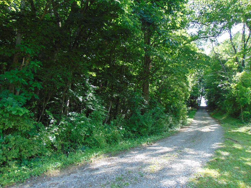 TBD Hogback - Photo 1
