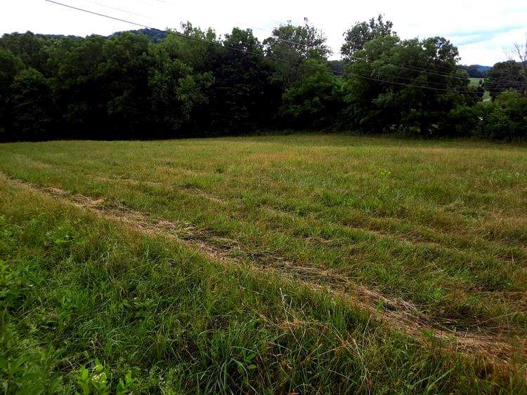 TBD Governor Gc Peery Highway - Photo 1