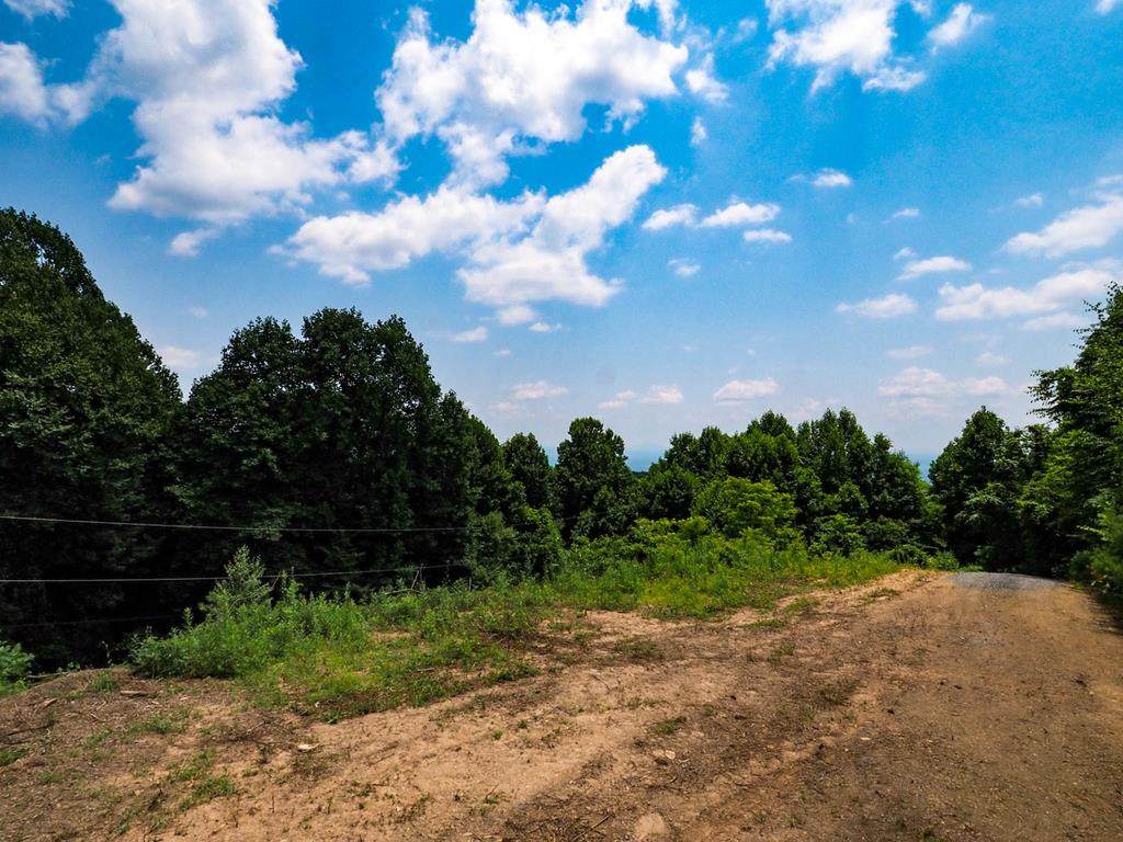 TBD Staghorn Dr. - Photo 1