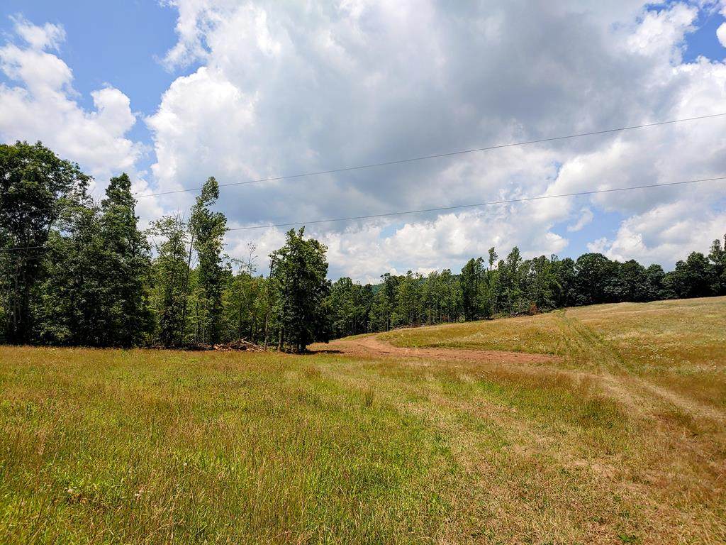 TBD Buffalo Mountain Rd - Photo 1