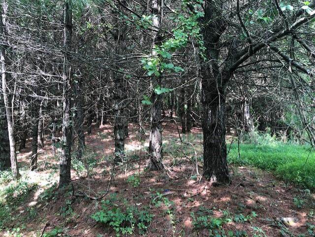 TBD Stone Ridge Rd. - Photo 1