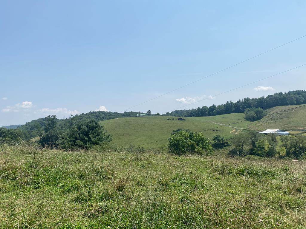 TBD Beaver Dam Road - Photo 1
