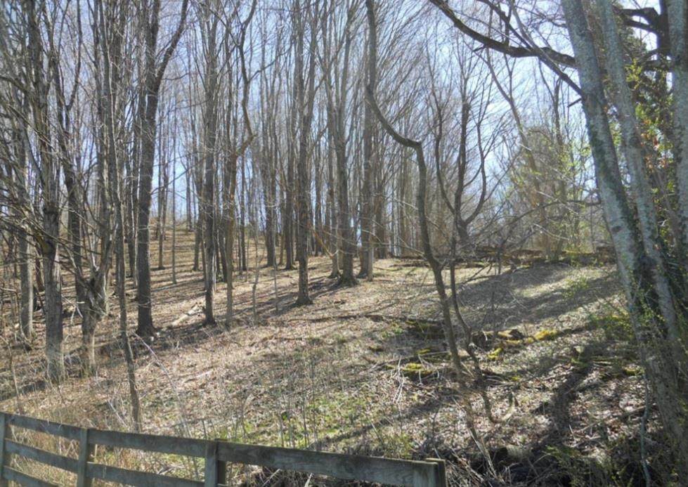 TBD Dogwood Road - Photo 1