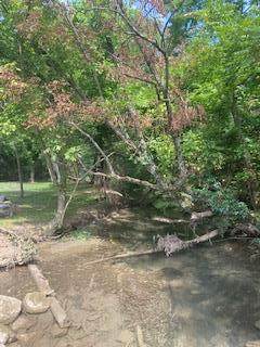 TBD Stonemill Road - Photo 1