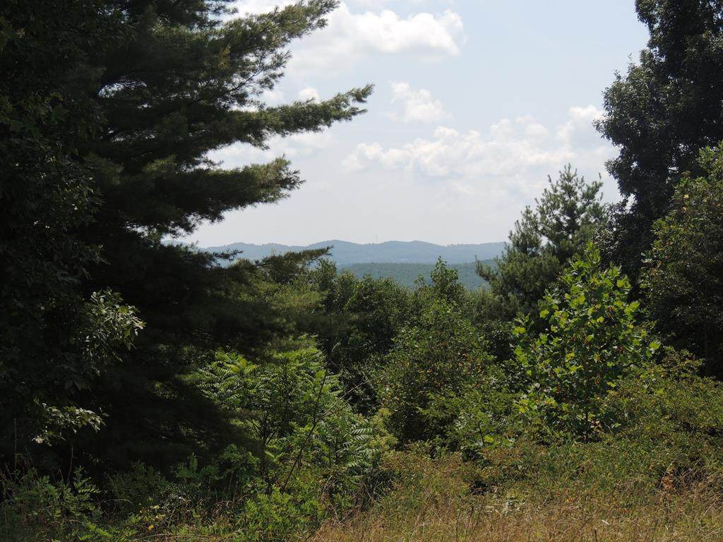 TBD Summit Lane - Photo 1