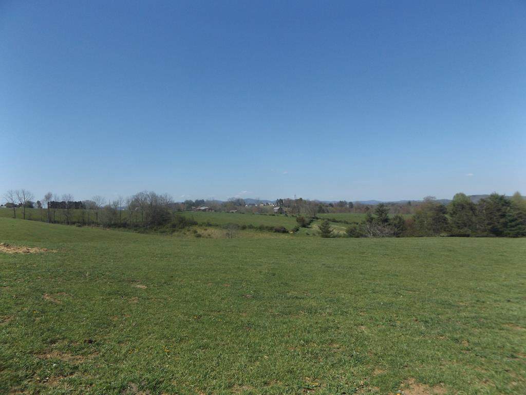 TBD Buckhorn Rd. - Photo 1