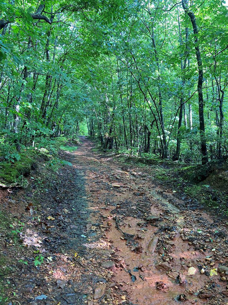TBD Peaceful Ridge Ln - Photo 1