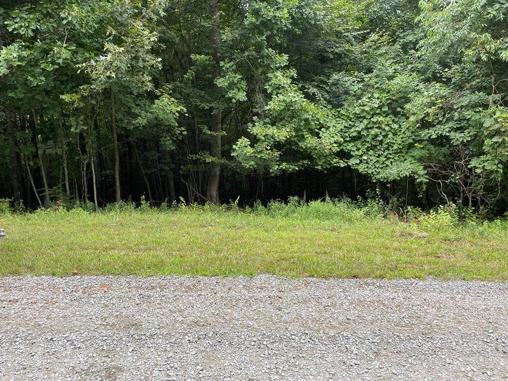 TBD Valley Hill Dr - Photo 1