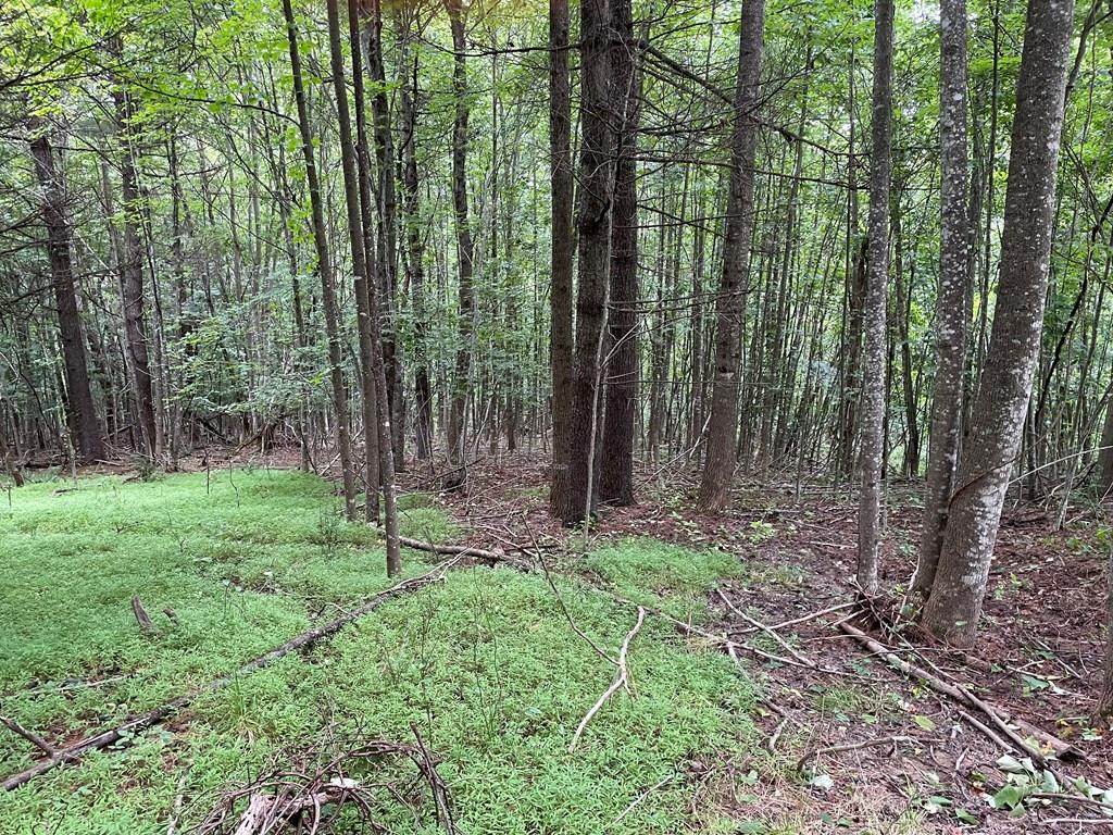 TBD Valley Hill Dr - Photo 1