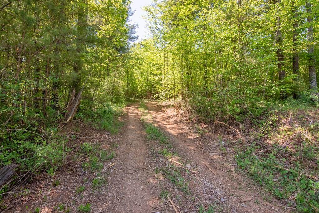 0 0 Floyd Highway - Photo 1