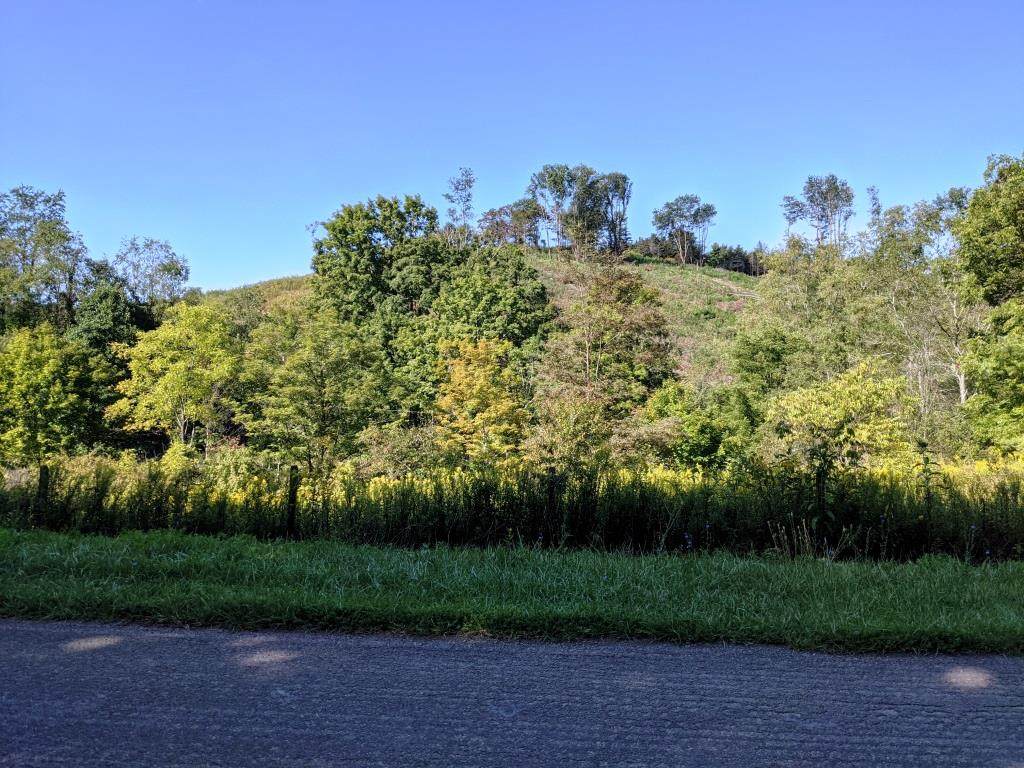 26 acre Tobler Rd - Photo 1