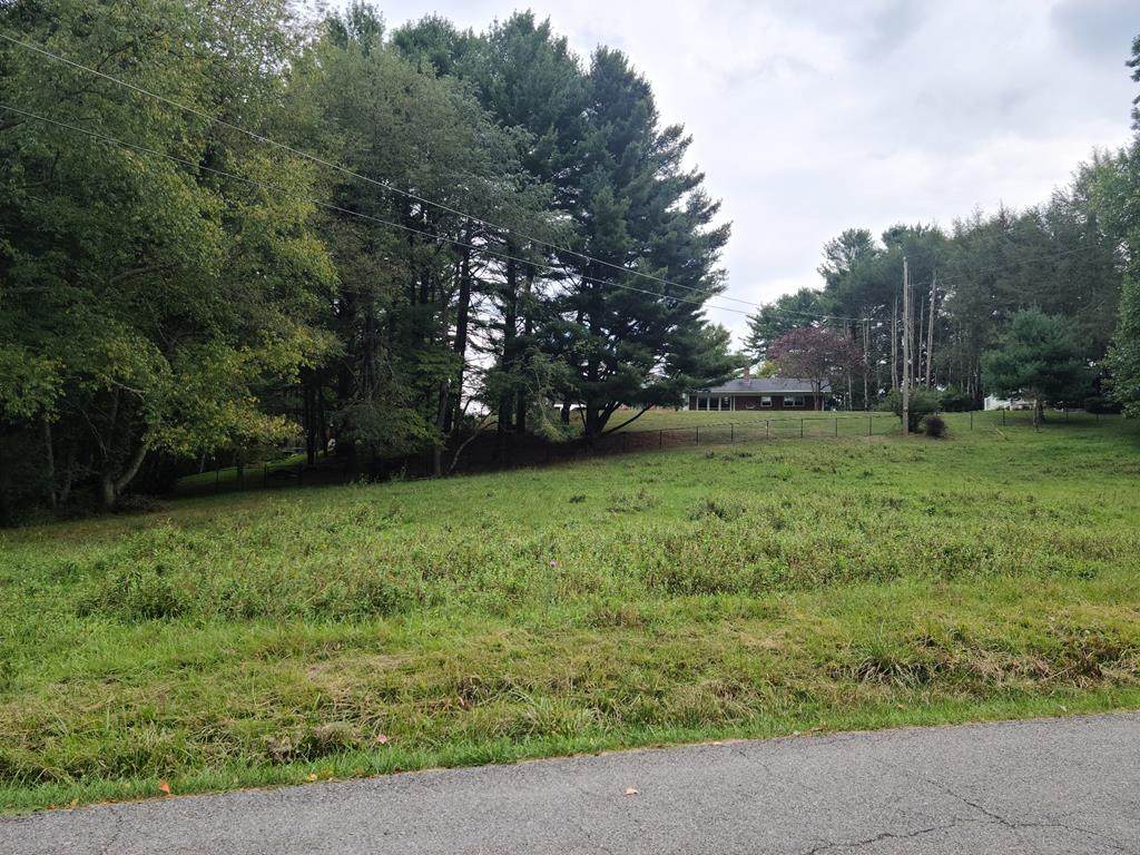 TBD Keller Lane - Photo 1
