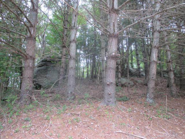 TBD Granite Lane - Photo 1