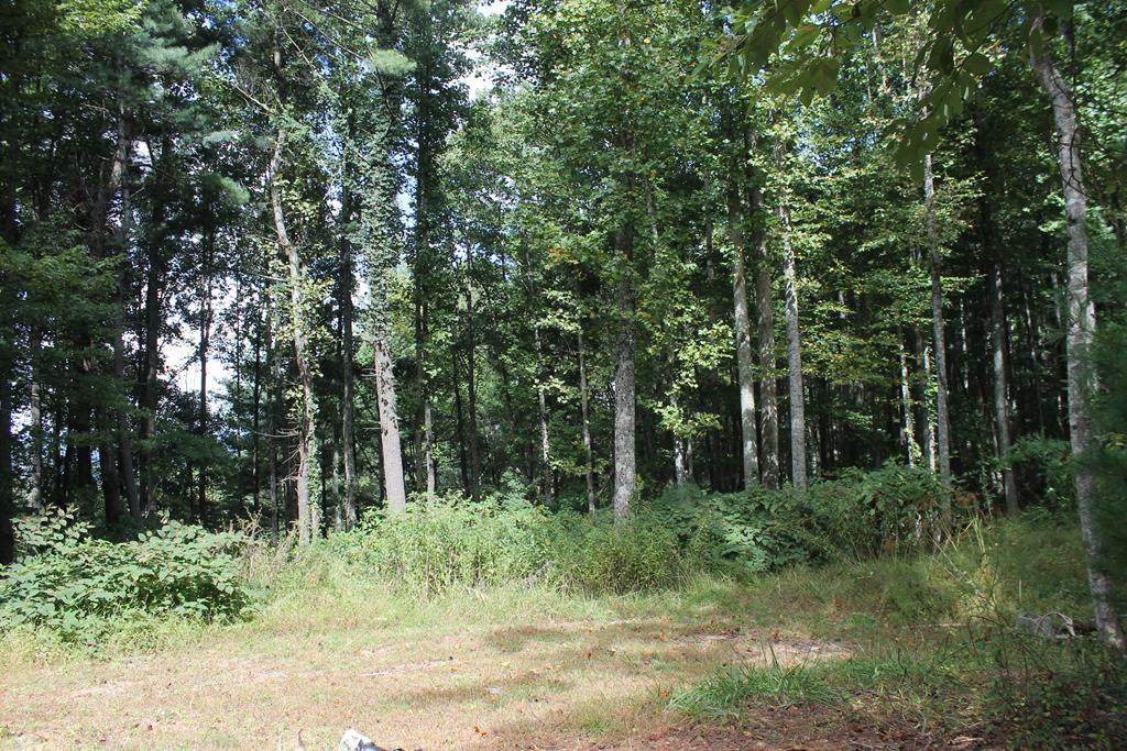 TBD Pine Mountain Drive - Photo 1