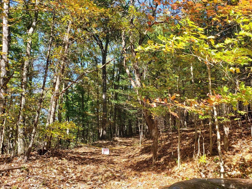 TBD Summerfield Rd. - Photo 1