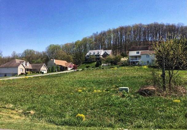 TBD Sterling Drive - Photo 1
