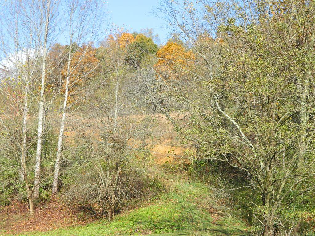 TBD Highway 16 - Photo 1