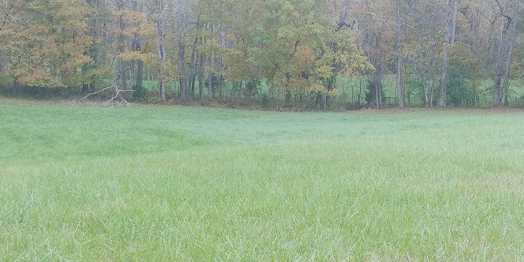 TBD Josh Allen Dr - Photo 1