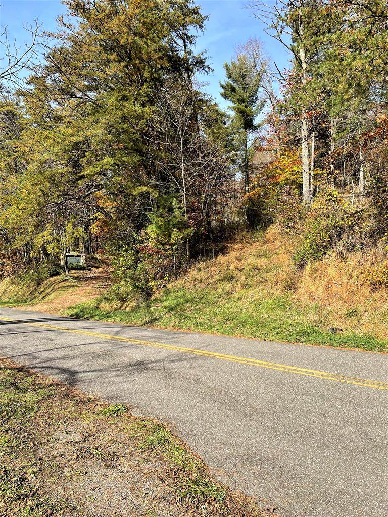 TBD Whitetown Road - Photo 1