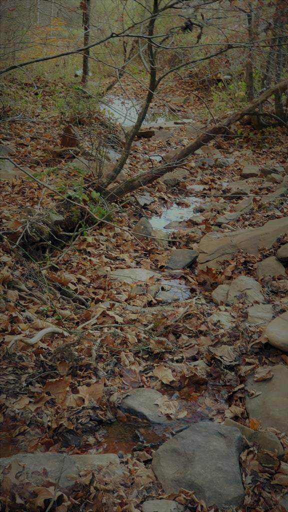 tbd Armstrong Hollow Lane - Photo 1