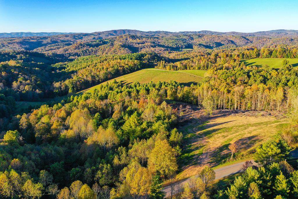 664 Tbd 5 Ac Silver Leaf Rd - Photo 1