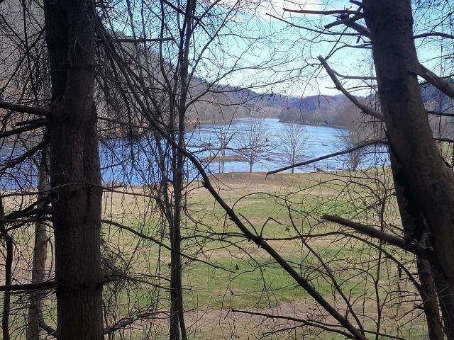 TBD New View - Photo 1
