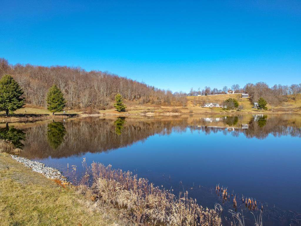 4.5 Acre Hidden Valley Ln - Photo 1