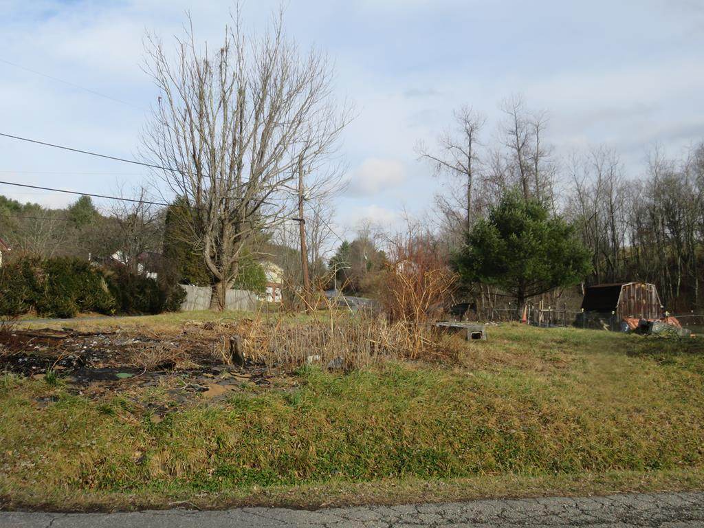 214 Ripshin Road - Photo 1
