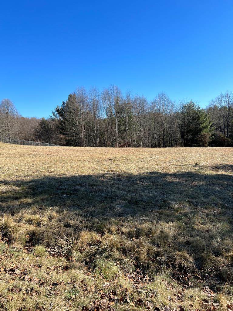 Lot 10 Knob Hill Ln - Photo 1