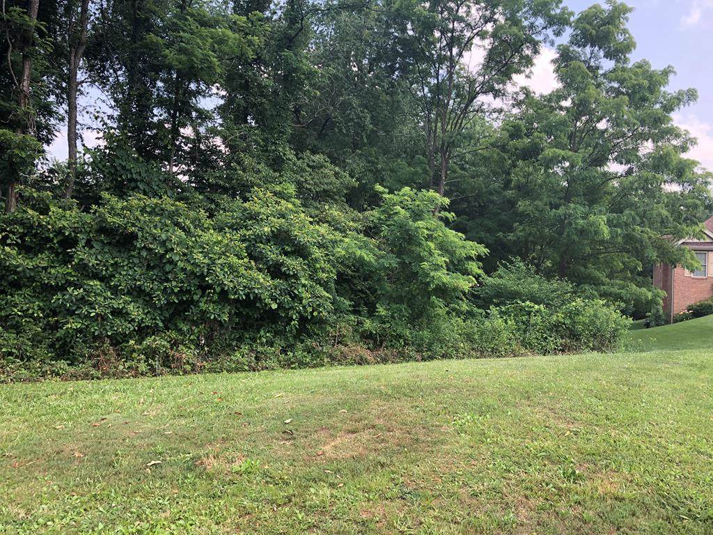 TBD Eagle Ridge Lane - Photo 1