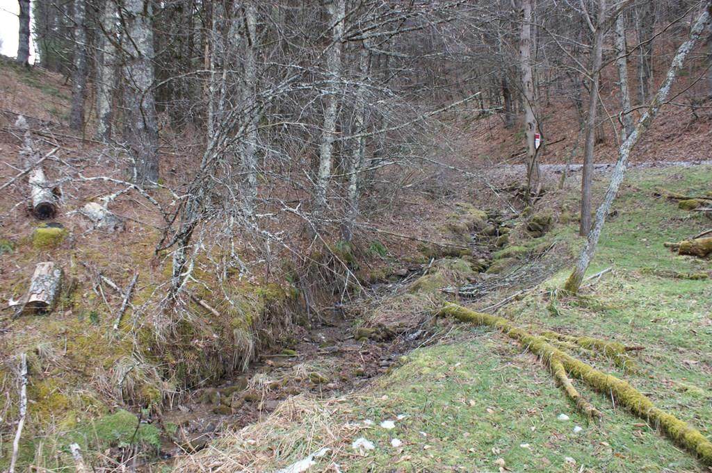 TBD Old Kentucky Ln - Photo 1