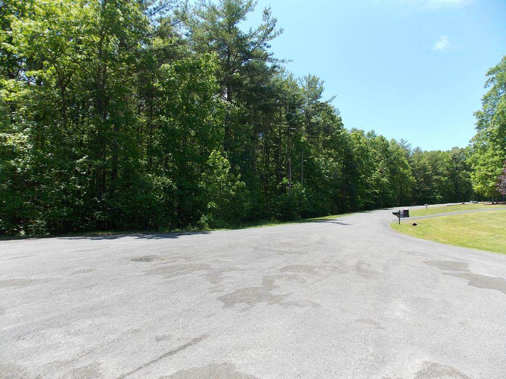TBD Wood Lane - Photo 1