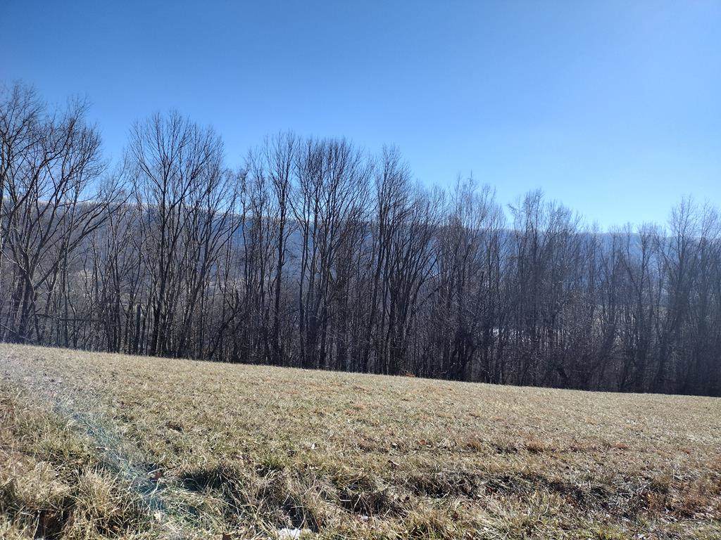 TBD Scenic Elk Garden Drive - Photo 1