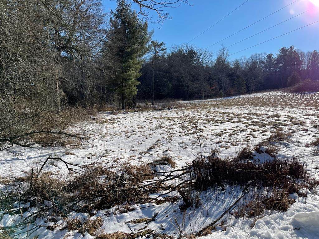 TBD Groundhog Mtn Rd - Photo 1