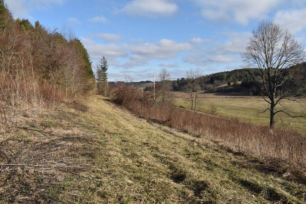 TBD Elkhorn Rd - Photo 1