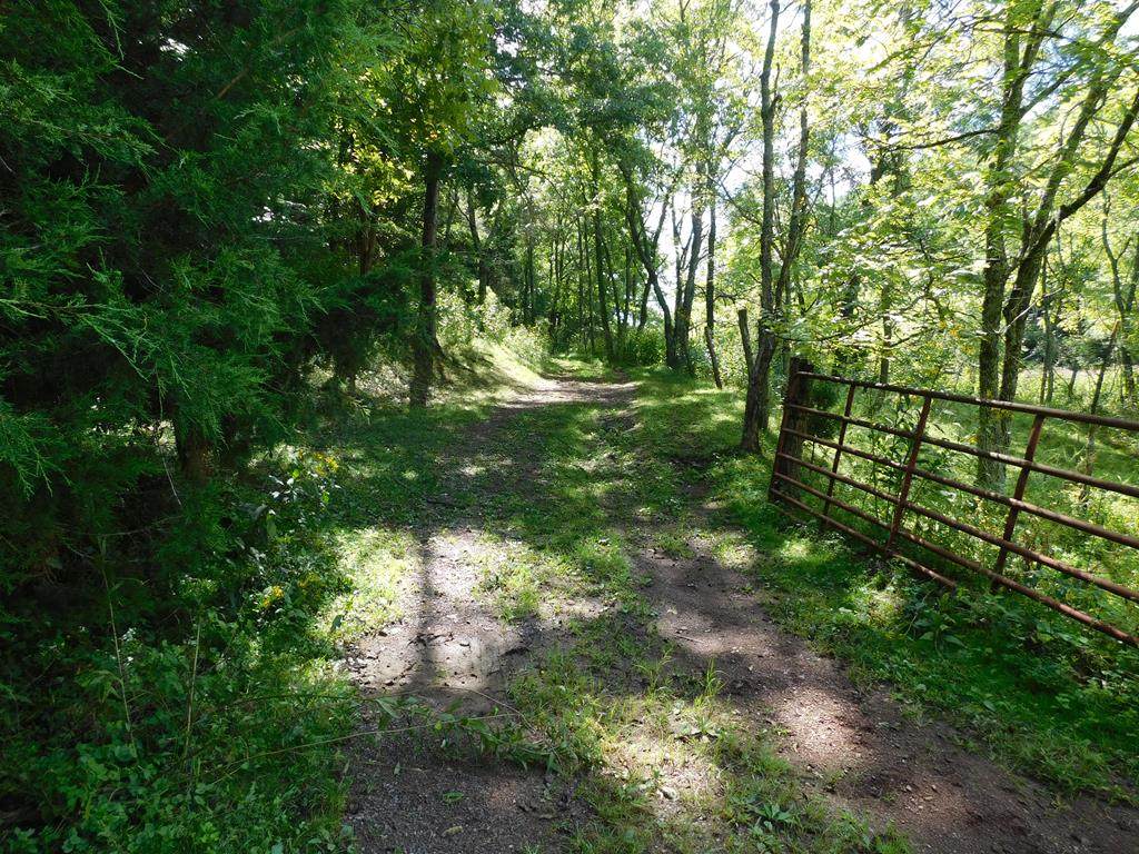 TBD Slate Springs Branch Road - Photo 1