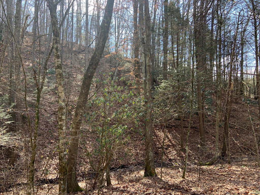 TBD Tbd Mill Creek Road (State Rt. 604) - Photo 1