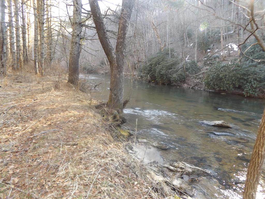TBD Old Jackson Mill Rd. - Photo 1