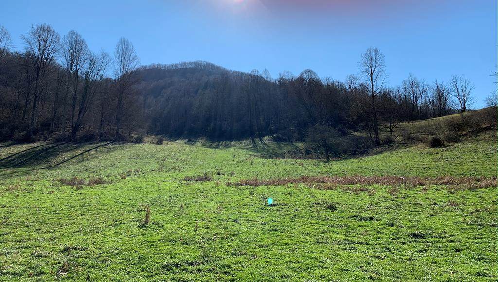 163 Church House Hollow Road - Photo 1