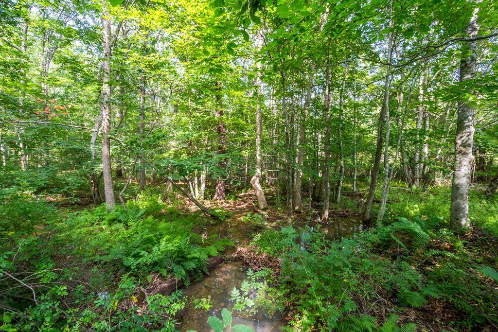 88 Acres Matney Flats Rd - Photo 1