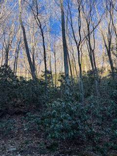 TBD Cascade Trail - Photo 1