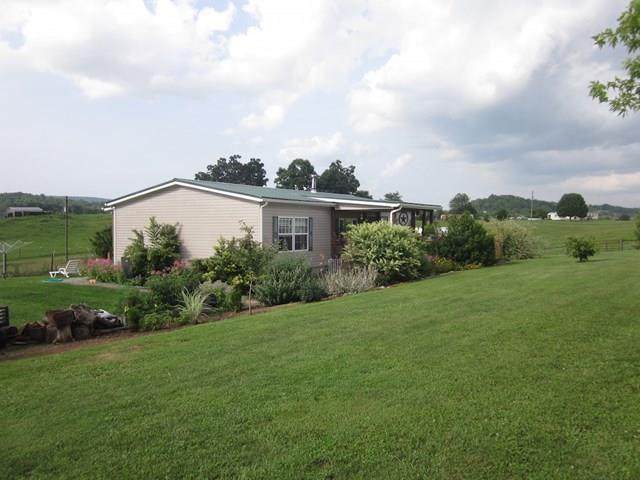 343 Grandview Dr - Photo 1