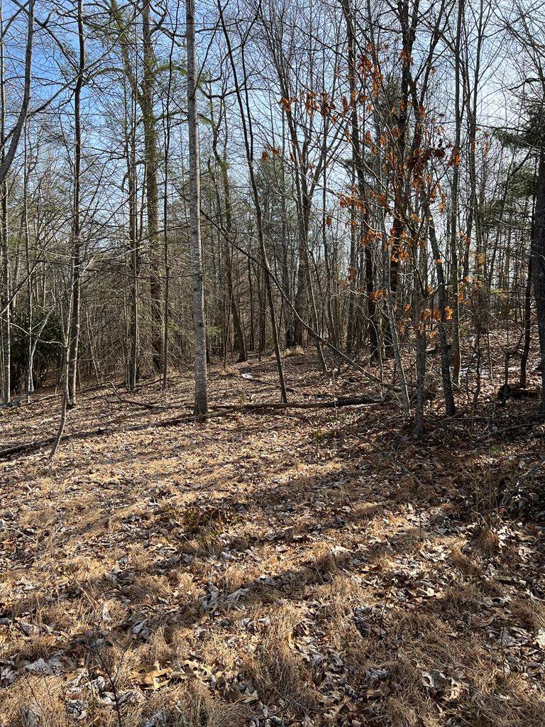 TBD Fries Rd. - Photo 1