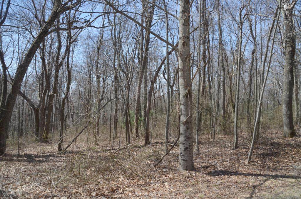 TBD Glen Burn Lane - Photo 1