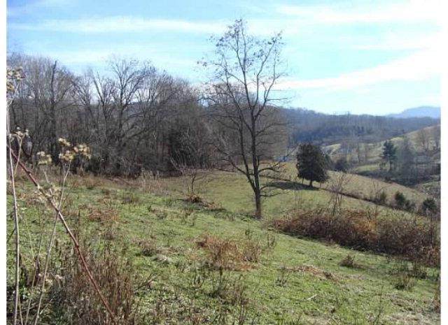 TBD Monroe Rd - Photo 1