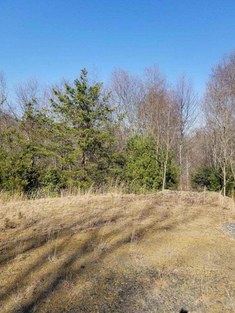 TBD Grapevine Ln - Photo 1